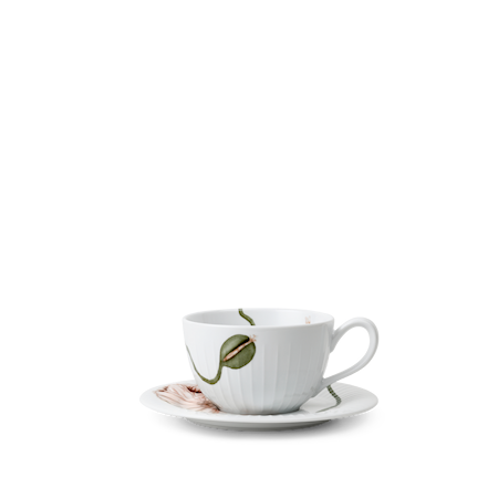 Hammershøi Poppy Teekuppi ja asetti 38 cl
