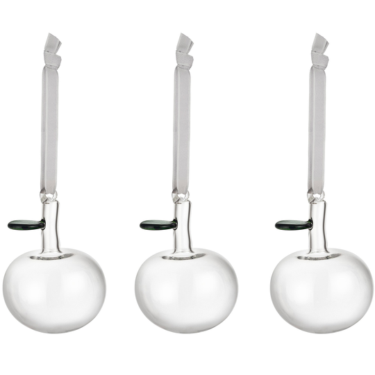 Iittala Lasiomena 3 kpl, Kirkas