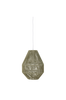 Kattovalaisin Sacco