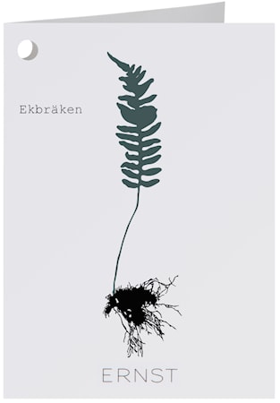 Kortti Ekbräken